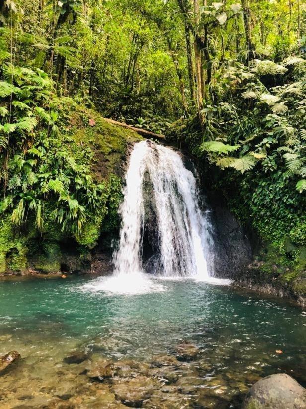 Tres Jolie Villa Alahautデエエ エクステリア 写真